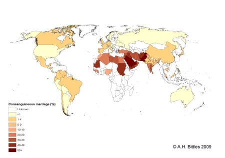 Global frequency of marriages between first cousins or closer.